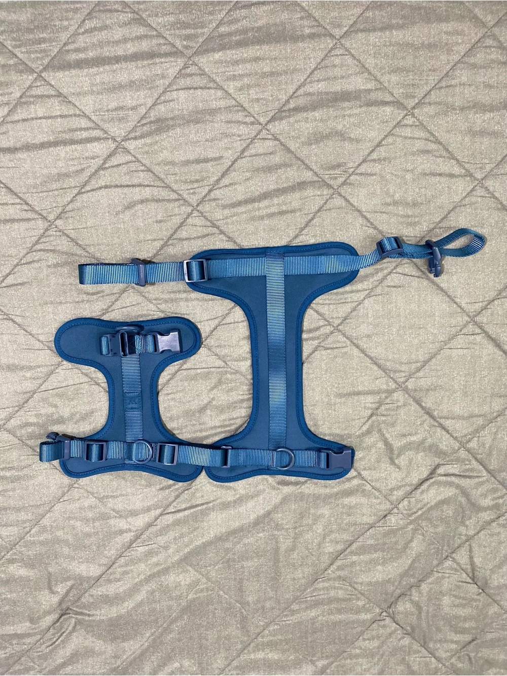 Blue Adjustable Dog Harness